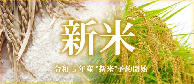 令和５年産新米！お米農家から直送・通販でお届け【板倉農産の直送米】